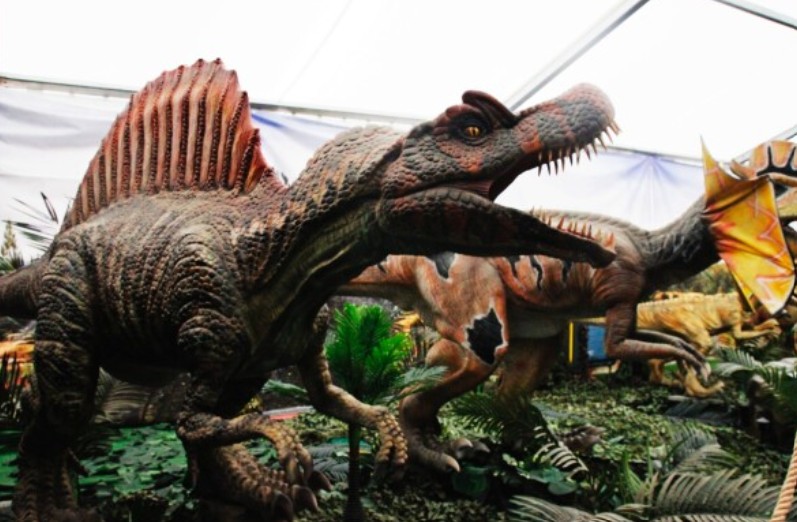 Jurassic Experience